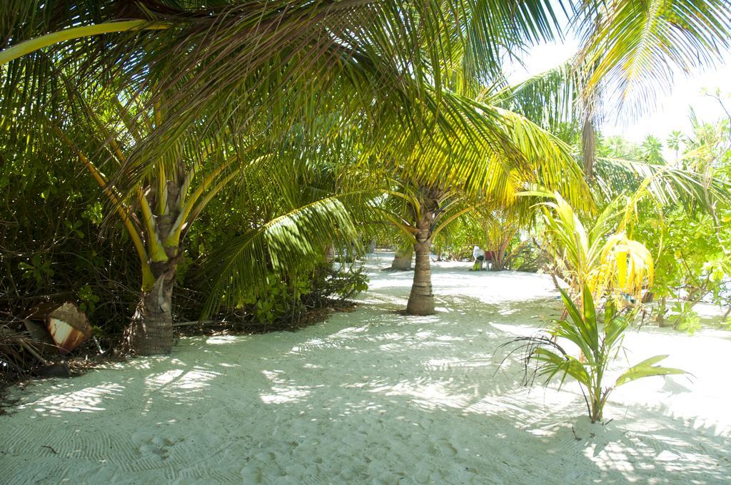 Отель Palm Garden Тодду Экстерьер фото